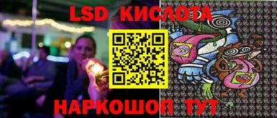 ГАЛЛЮЦИНОГЕННЫЕ ГРИБЫ Кингисепп