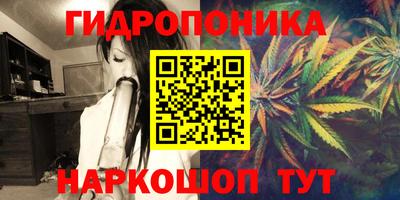 ГАЛЛЮЦИНОГЕННЫЕ ГРИБЫ Кингисепп