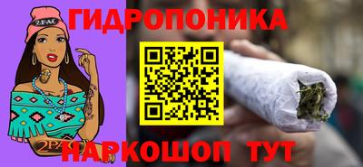 винт Кимры