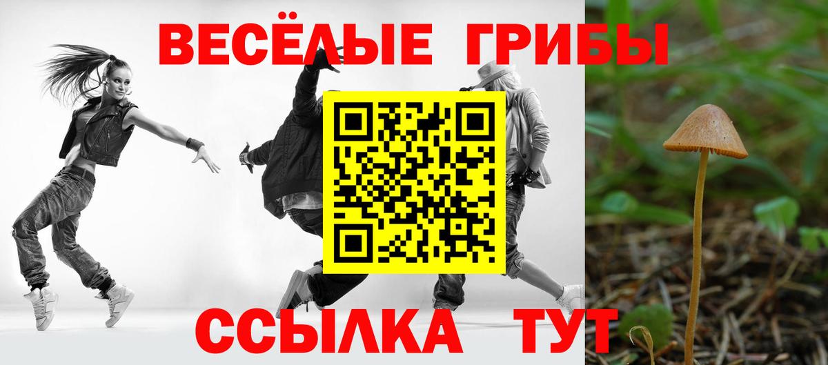 Псилоцибиновые грибы GOLDEN TEACHER Королёв