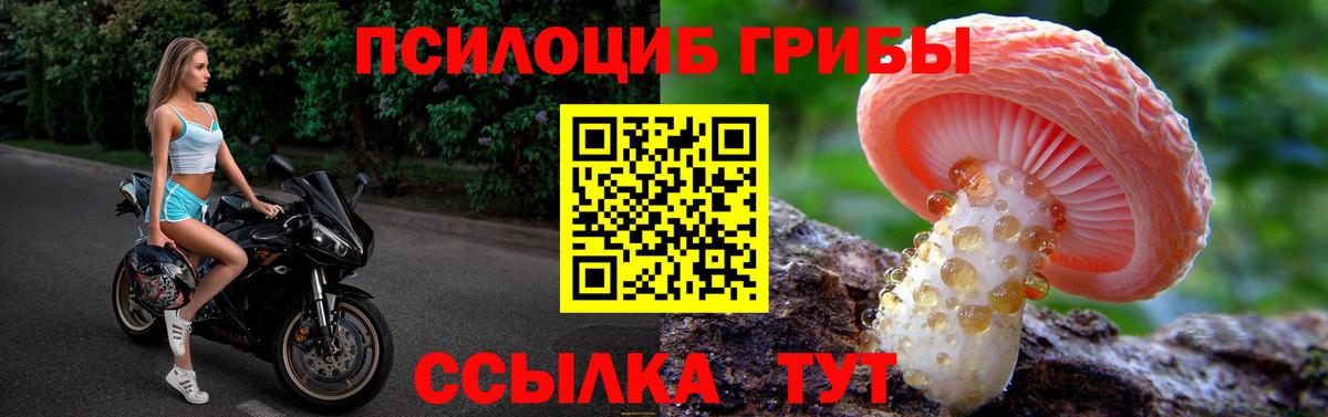 Королёв  Псилоцибиновые грибы прущие грибы  Вход с VPN 